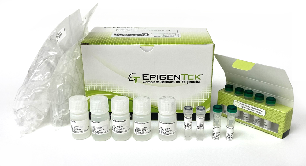 EpiQuik Chromatin Accessibility Assay Kit EpiQuik Chromatin Accessibility Assay Kit