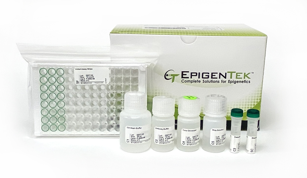 EpiQuik Total Histone H3 Quantification Kit (Colorimetric) (96 assays)