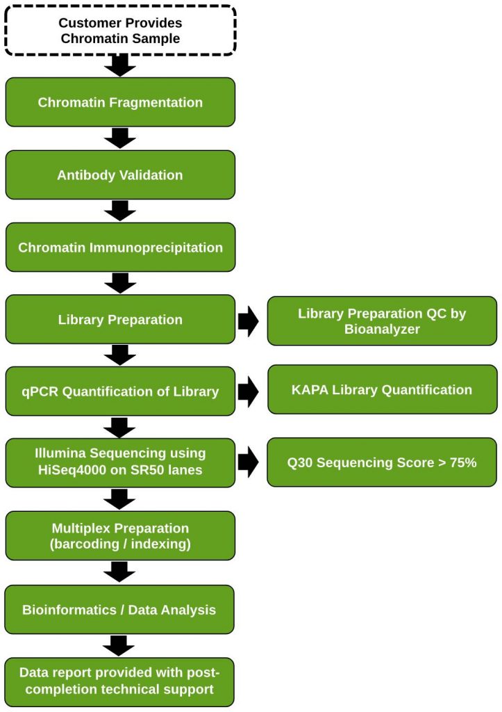 ChIP Sequencing (ChIP-Seq) Service - Epigenetic Services